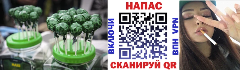 Canna-Cookies марихуана  Котлас 