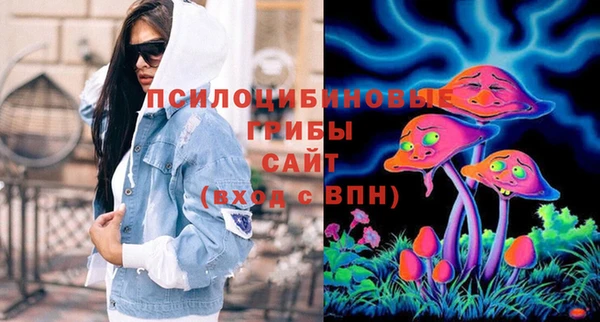 шишки Пестово