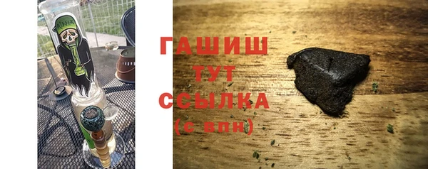 прущие грибы Переславль-Залесский