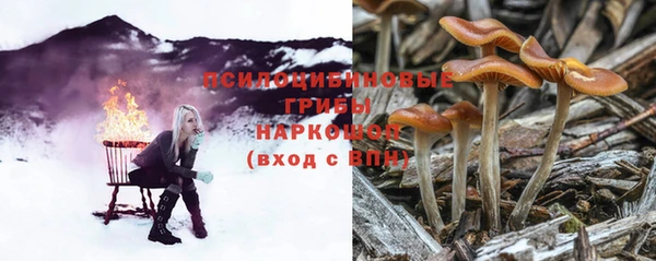 меф Бородино