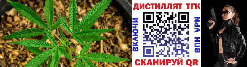 что такое наркотик  ссылка на мегу ССЫЛКА  Дистиллят ТГК гашишное масло  Котлас 